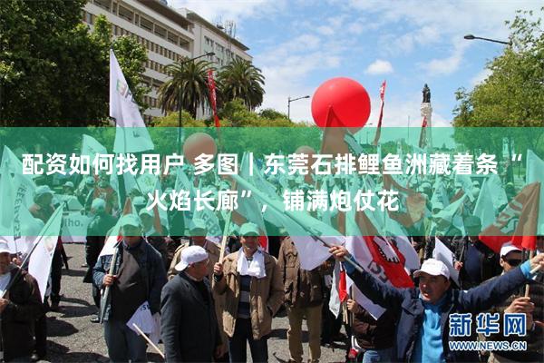 配资如何找用户 多图｜东莞石排鲤鱼洲藏着条 “火焰长廊”，铺满炮仗花