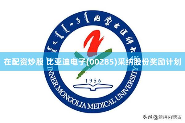 在配资炒股 比亚迪电子(00285)采纳股份奖励计划