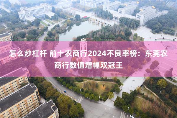 怎么炒杠杆 前十农商行2024不良率榜：东莞农商行数值增幅双冠王