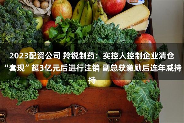 2023配资公司 羚锐制药：实控人控制企业清仓“套现”超3亿元后进行注销 副总获激励后连年减持