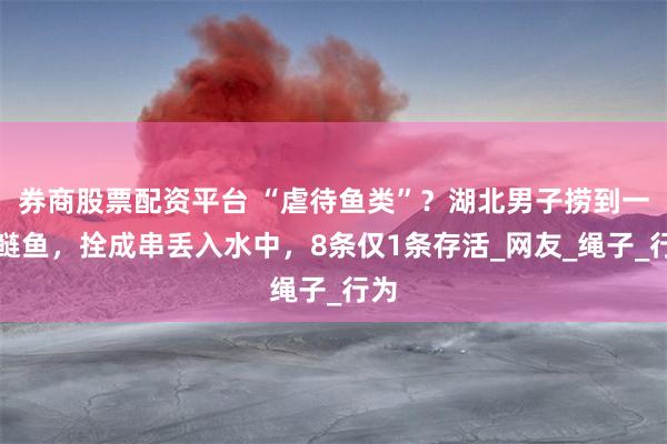 券商股票配资平台 “虐待鱼类”？湖北男子捞到一串鲢鱼，拴成串丢入水中，8条仅1条存活_网友_绳子_行为