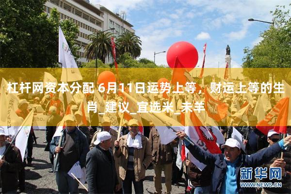 杠杆网资本分配 6月11日运势上等，财运上等的生肖_建议_宜选米_未羊