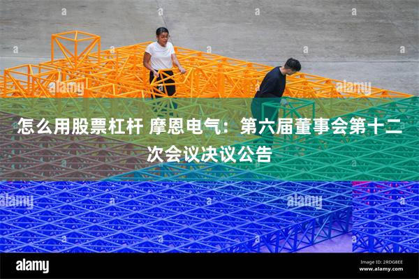 怎么用股票杠杆 摩恩电气：第六届董事会第十二次会议决议公告