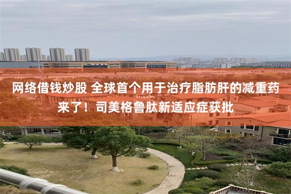 网络借钱炒股 全球首个用于治疗脂肪肝的减重药来了！司美格鲁肽新适应症获批