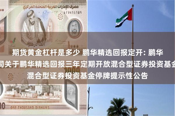 期货黄金杠杆是多少 鹏华精选回报定开: 鹏华基金管理有限公司关于鹏华精选回报三年定期开放混合型证券投资基金停牌提示性公告