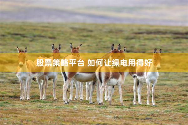 股票策略平台 如何让绿电用得好